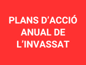 Plans d'acció anual de l'INVASSAT